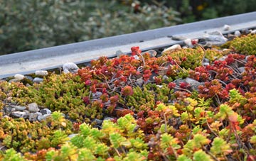 the cost of Upper Brandon Parva green roof installation