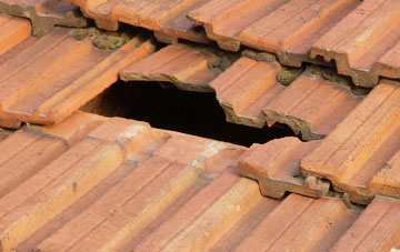 roof repair Upper Brandon Parva, Norfolk